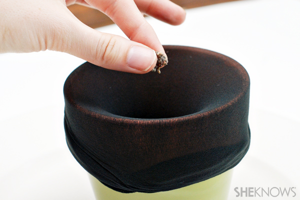Chia pet craft - Sprinkle seeds