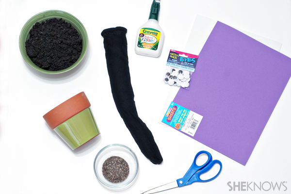 Chia pet supplies