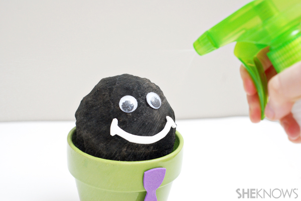 Chia pet craft - Spray with water