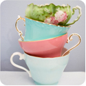 tea cups