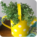watering can