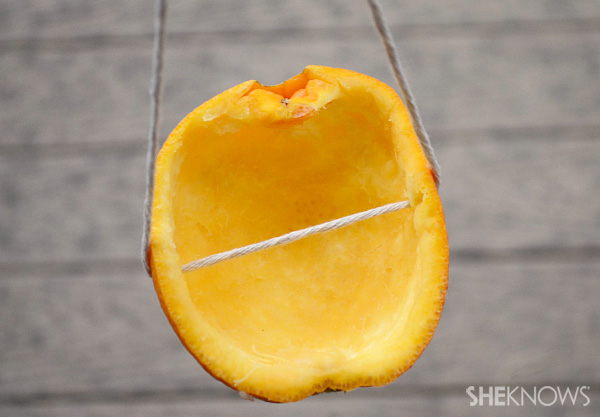 Orange peel bird feeder