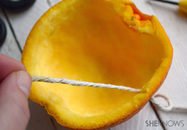 Orange peel bird feeder
