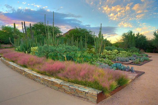 Desert Botanical Garden – Phoenix, Arizona