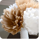 filter flowers