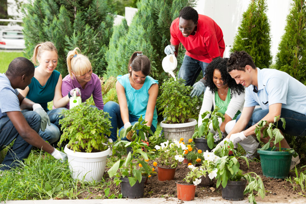 coltivare l'orto come attività di gruppo