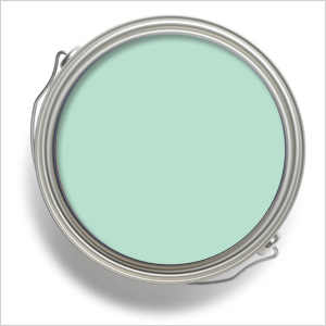 Aloe paint color