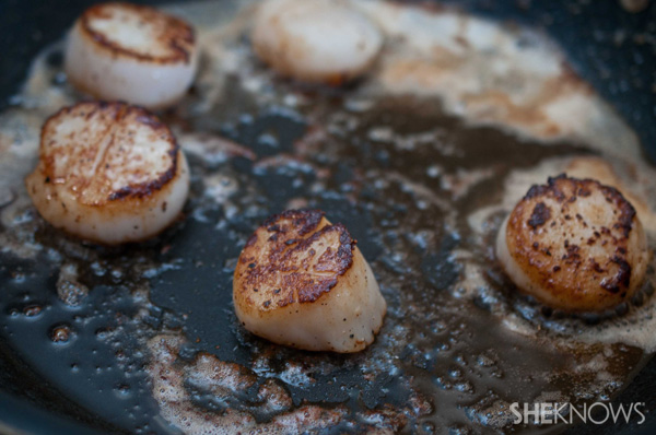 seared scallops