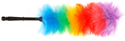 Duster
