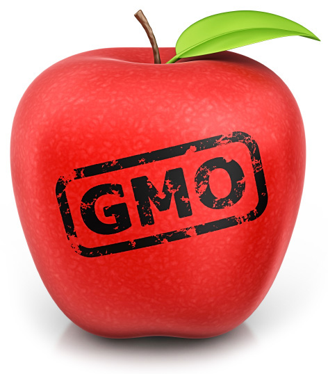 GMO apple