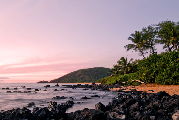 Best flight options to hawaii