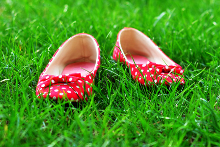 Red flats in grass