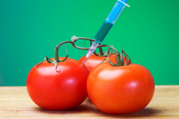 the promotion of genetically modified foods essay the promotion of genetically modified foods essay