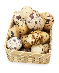 Eggs in a basket