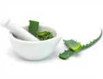 Aloe