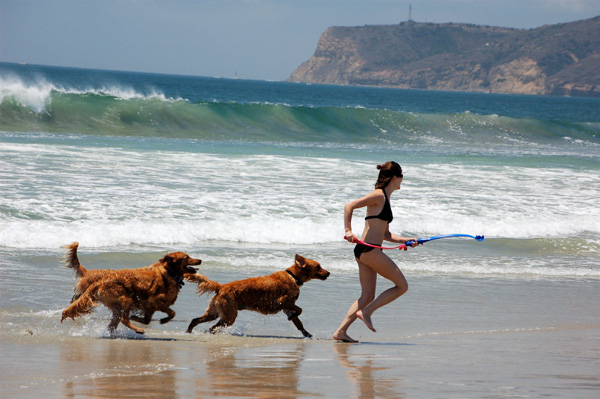 Woman and dogs in San Diego