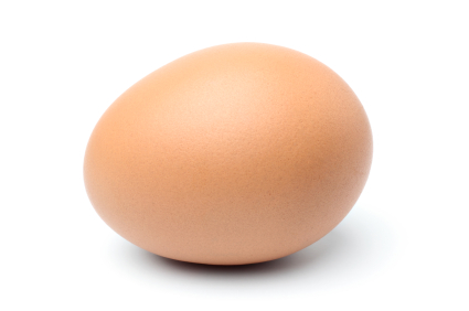 egg