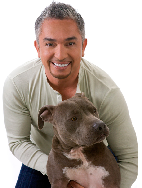 Cesar's Way by Cesar Millan (Paperback, 2007) Cesar's Way by Cesar Millan (Paperback, 2007)