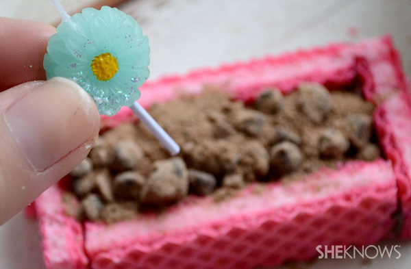 Mini flower patch desserts