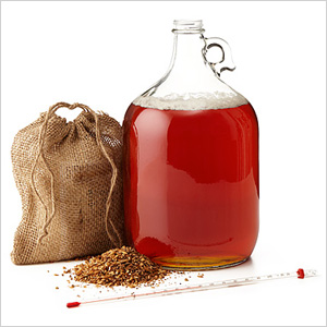 Beer brewing kit