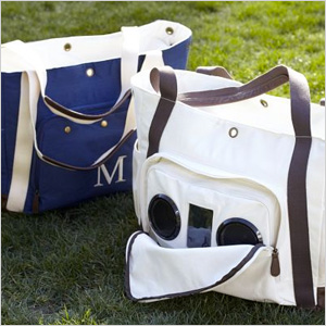 Cooler speaker tote