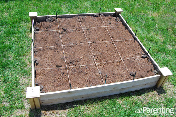 How To Practice Square Foot Gardening