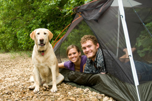 Dog camping