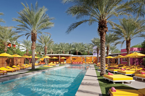 Summer lovin’: the Saguaro