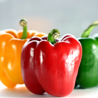 Bell pepper