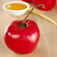 Rocoto pepper