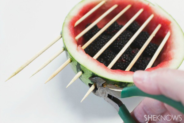 Watermelon grill with fruit kabobs