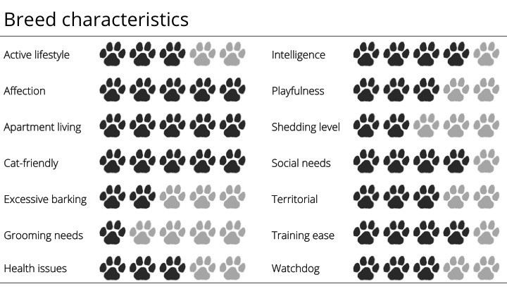 boston terrier bree characteristics