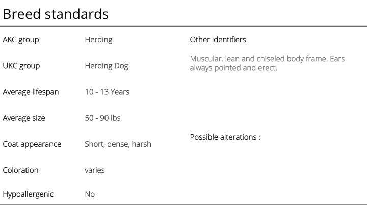 german shepherd breed standards