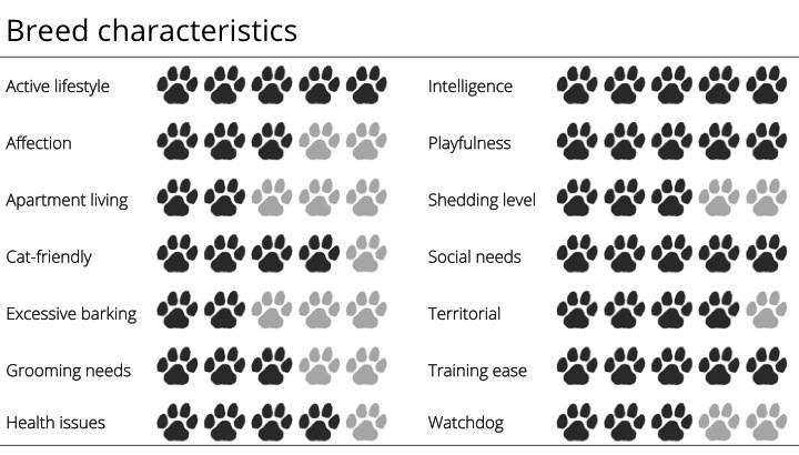 golden retriever character traits meet the breed golden retriever golden retriever character traits meet the breed golden retriever