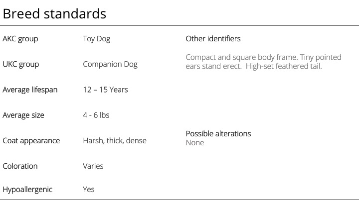 pomeranian breed standards
