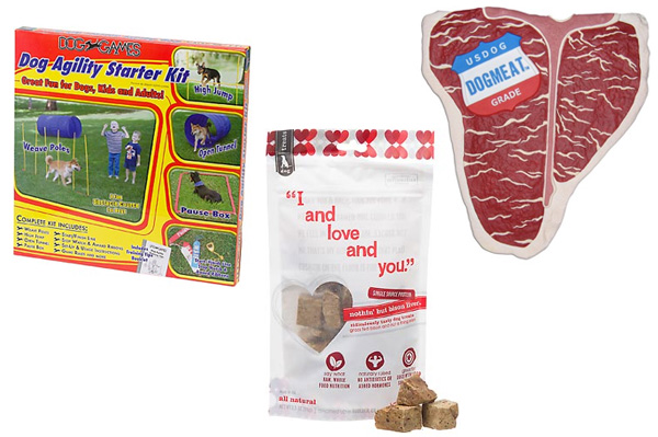BBQ lover party for dogs
