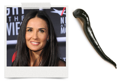 Demi Moore relies on leeches for youthful skin