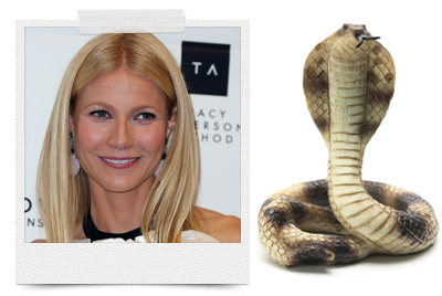 Gwyneth Paltrow uses snake venom as a botox supplement