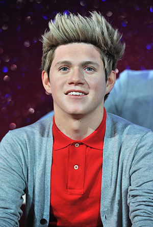 One Direction singer Niall Horan is single