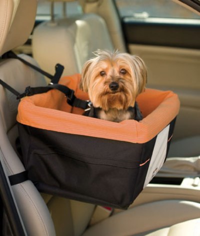 furry traveling friends