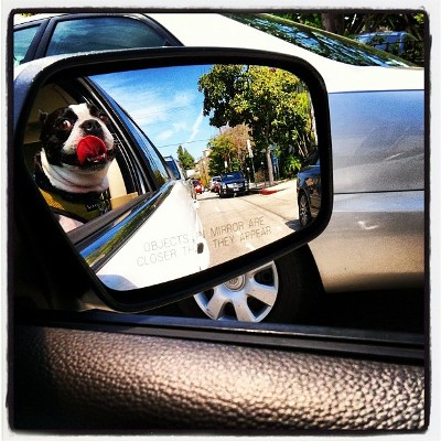 This is a really flattering mirror