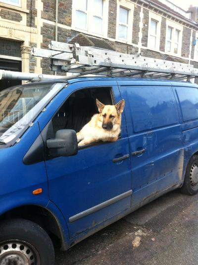 furry traveling friends