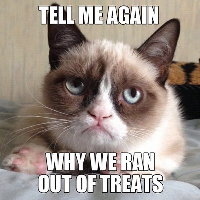 Grumpy Cat memes