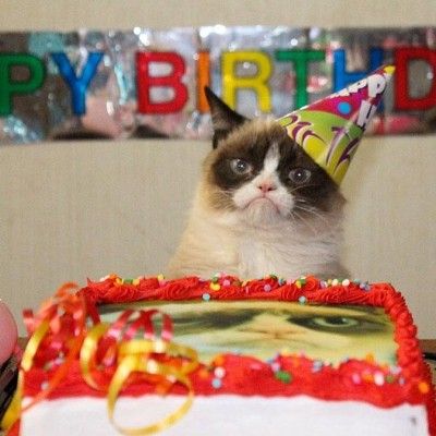 Grumpy Cat memes