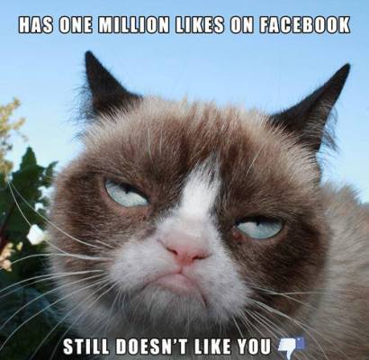 Grumpy Cat memes