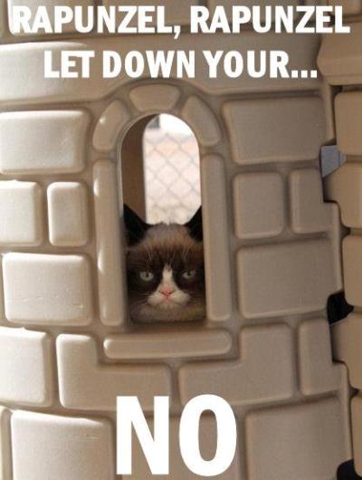 Grumpy Cat memes