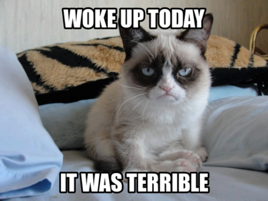 Grumpy Cat memes