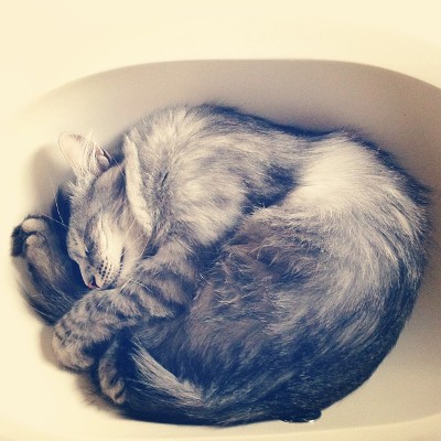 They make great sink warmers