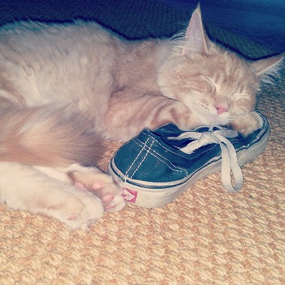 They appreciate your shoe collection