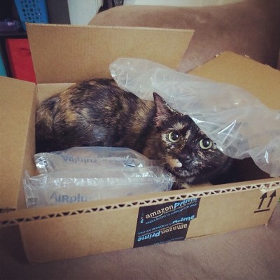 They'll help you with postage and shipping